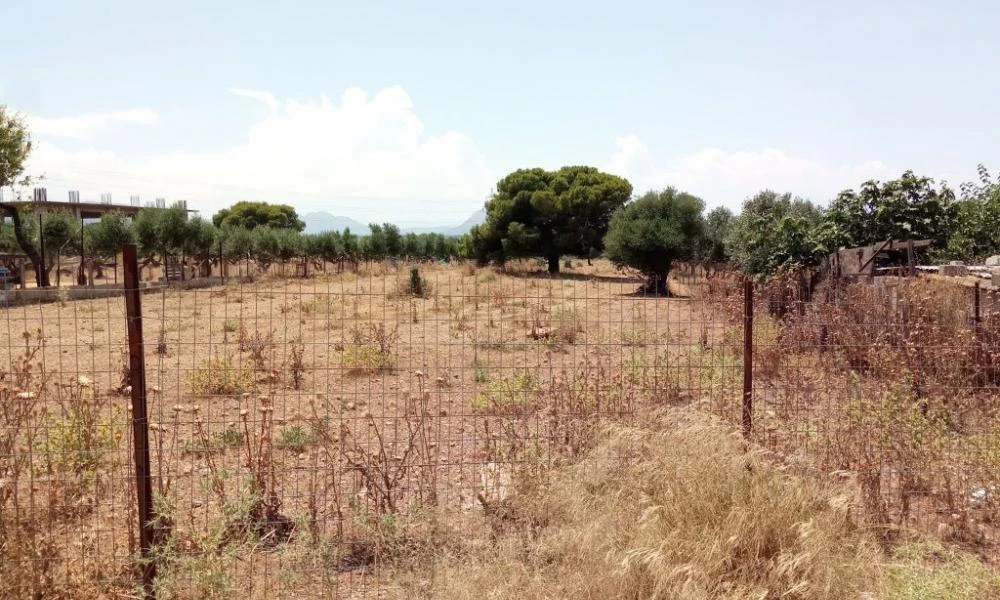 Ακαθάριστα οικόπεδα: 515.480 δηλώσεις και 3.804 καταγγελίες – Drones ελέγχουν δασικές εκτάσεις